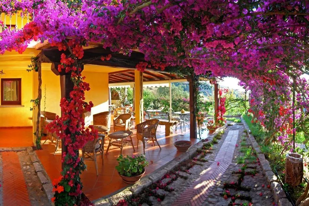 Suite Suliana Porto San Paolo  Guest house Porto San Paolo (Sardinia)